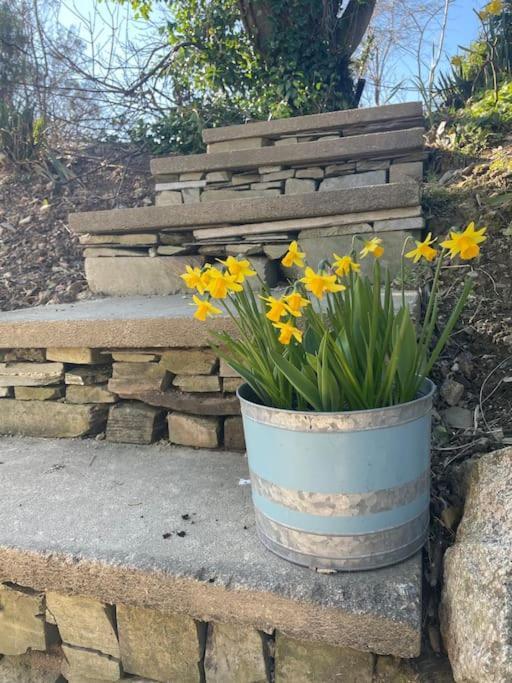 Cosy Rustic Annex In Quiet Cornwall Village Saint Wenn 외부 사진